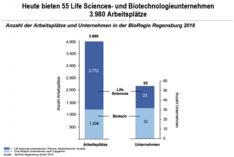 Anzahl der Arbeitsplätze und Unternehmen in der BioRegio Regensburg 2018