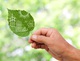 BioPark Regensburg: Überdurchschnittliche Nachhaltigkeit attestiert
